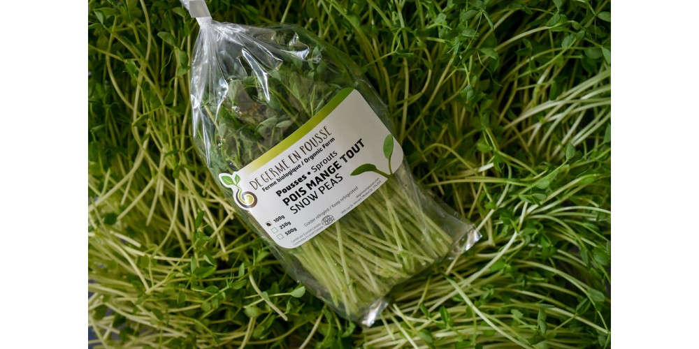 Peas organic shoots, for juice